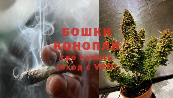 ГАЛЛЮЦИНОГЕННЫЕ ГРИБЫ Бородино