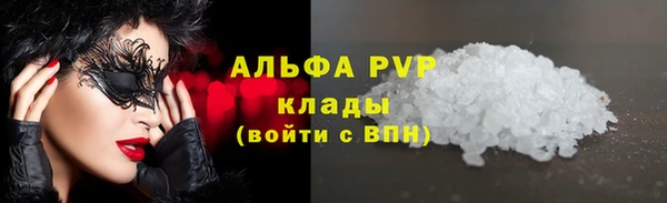 ГАЛЛЮЦИНОГЕННЫЕ ГРИБЫ Бородино