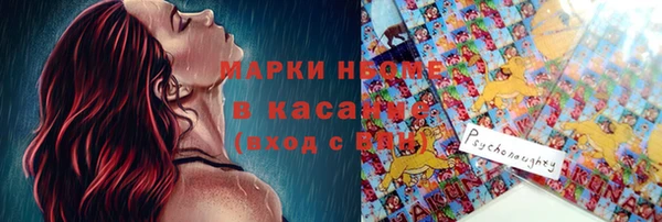 ГАЛЛЮЦИНОГЕННЫЕ ГРИБЫ Бородино